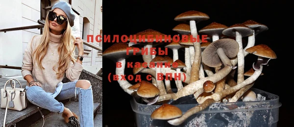 прущая мука Абдулино